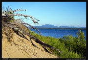 nature/08/_mg_6560x.jpg