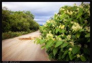 nature/08/_mg_6692x.jpg