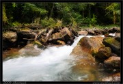 nature/12/_mg_1151x.jpg