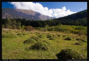 nature/12/_mg_2316x.jpg